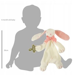 Organic Bunny Plush Toy