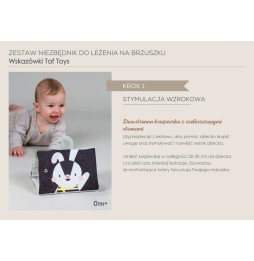 Taf Toys Set Distracție Bebe