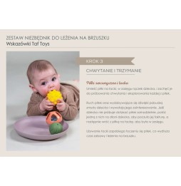 Taf Toys Set Distracție Bebe