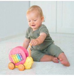 Woopie Pull Along Snail 4in1 Toy