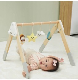 Viga Infant Play Arch with Toys