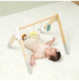 Viga Infant Play Arch with Toys