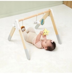 Viga Infant Play Arch with Toys