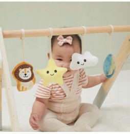 Viga Infant Play Arch with Toys