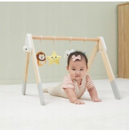 Viga Infant Play Arch with Toys