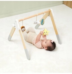 Wooden Educational Stand for Infants