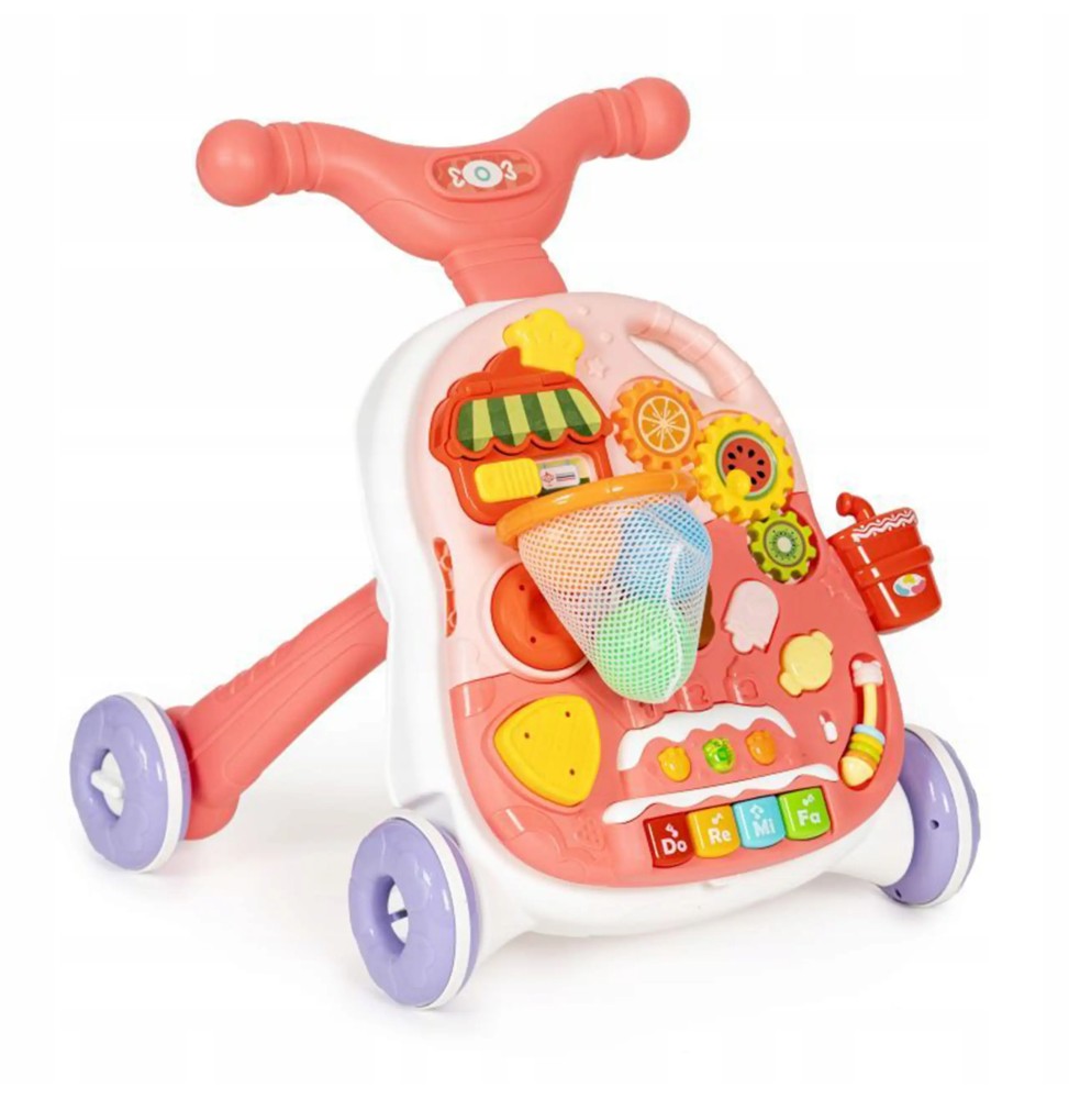 2in1 Interactive Walker Toy for Kids