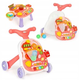 2in1 Interactive Walker Toy for Kids