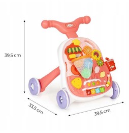 2in1 Interactive Walker Toy for Kids