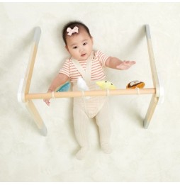 Interactive Baby Play Gym