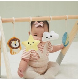 Interactive Baby Play Gym