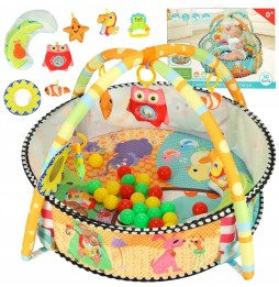 Infant Educational Play Mat with Pool