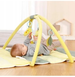 3D Dinosaur Educational Play Mat for Infants