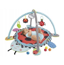 Ladybug Educational Mat for Infants