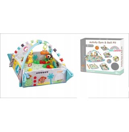 Educational Play Mat Pen with Balls