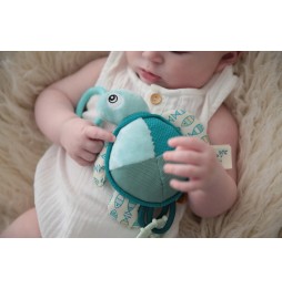 Dolce Toys żółw Flippy - zabawka dla niemowląt