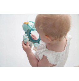 Dolce Toys żółw Flippy - zabawka dla niemowląt