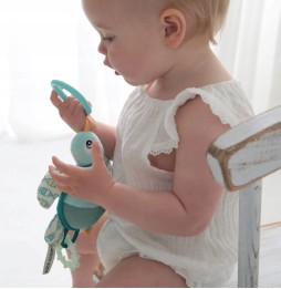 Dolce Toys żółw Flippy - zabawka dla niemowląt