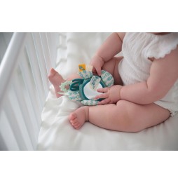 Dolce Toys żółw Flippy - zabawka dla niemowląt