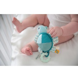 Dolce Toys żółw Flippy - zabawka dla niemowląt
