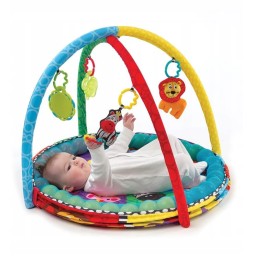 Playgro Educational Mat with Balls