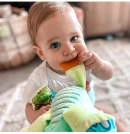 Sensoryczna zawieszka smok Dusty Playgro