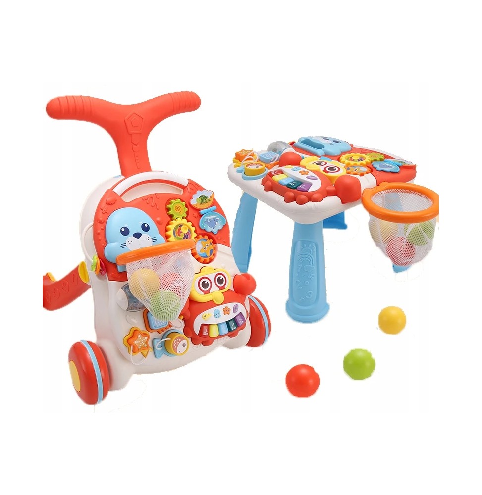 Interactive 5in1 Walker Push Toy for Kids