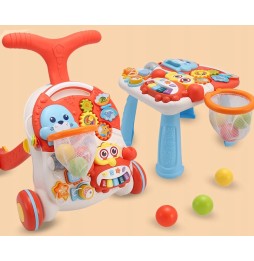 Interactive 5in1 Walker Push Toy for Kids