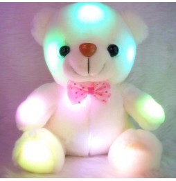 LED Glowing Teddy Bear for Kids