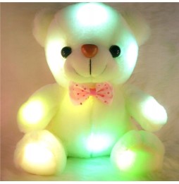 LED Glowing Teddy Bear for Kids