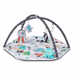 Educational Play Mat for Infants