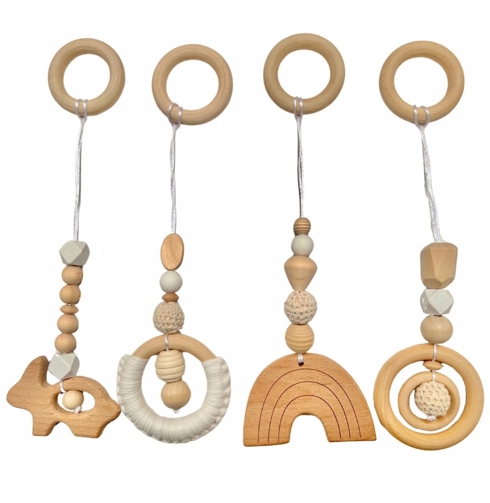 Set of 4 Educational Hanging Toys