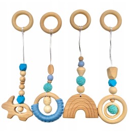 Set of 4 Educational Hanging Toys