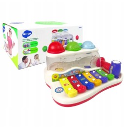 Educational Xylophone with Mallet for Kids