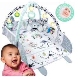 Interactive Educational Mat for Infants