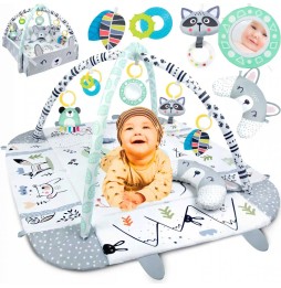 Interactive Educational Mat for Infants