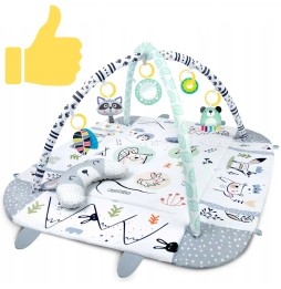 Interactive Educational Mat for Infants