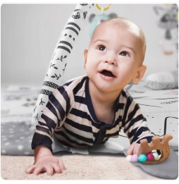 Interactive Educational Mat for Infants