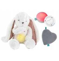 Sleepy Bunny 5in1 with Light and Melodies