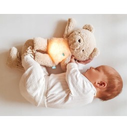 Sleepy Bear 5in1 – Cuddly Toy for Children