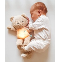 Sleepy Bear 5in1 – Cuddly Toy for Children