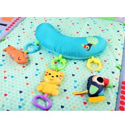 Large 5-in-1 Playmat for Kids