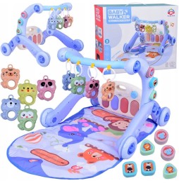 3-in-1 Educational Mat Push Toy Baby Toys