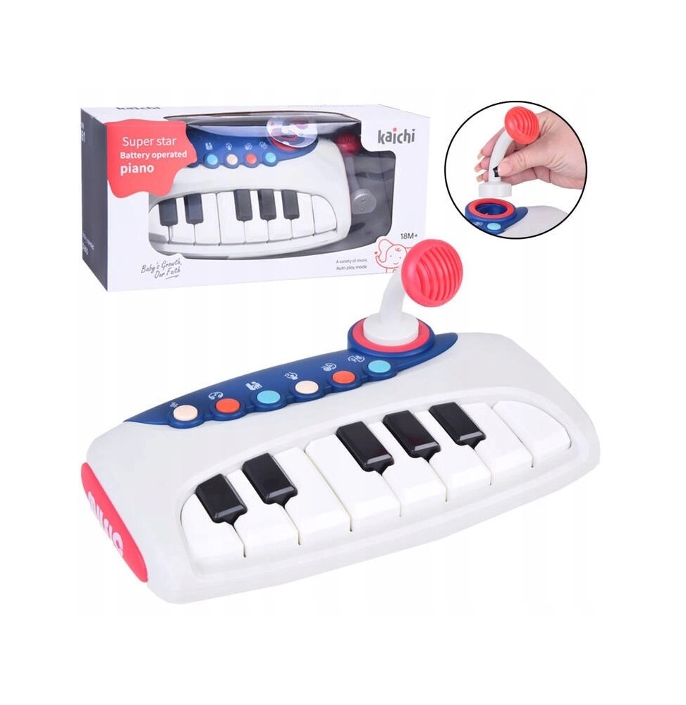 Interactive Piano with Microphone for Kids