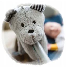 Whisbear Sensory Bear with Cry Sensor