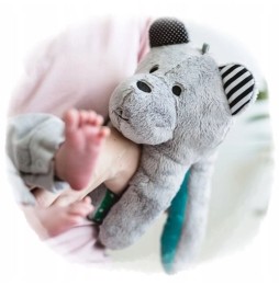 Whisbear Sensory Bear with Cry Sensor