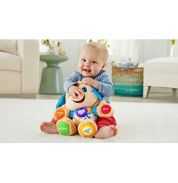 Interactive Puppy Plush Toy from Fisher Price