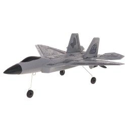 Raptor-22 R/C Remote Control Fighter