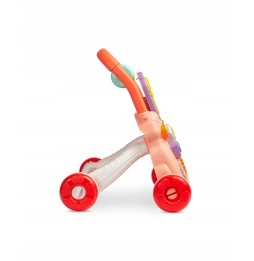 Educational ZOO Push Walker for Kids