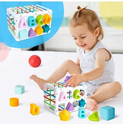 Sensory Motor Block Matching Toy